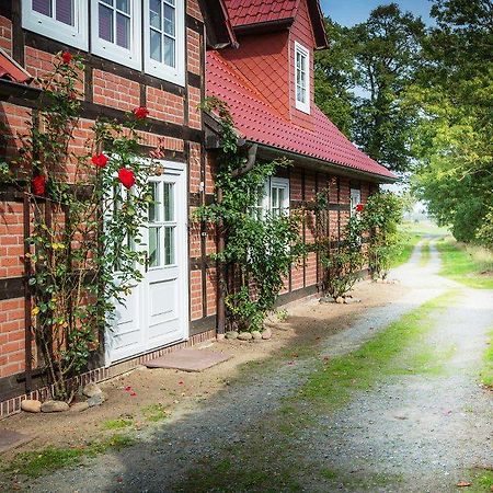 Landhaus Elbeflair Apartment Bei Doemitz Lenzerwische Eksteriør billede